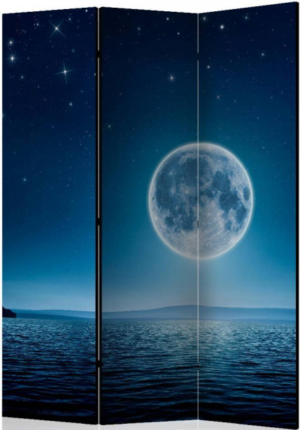 Sermi Artgeist Moonlit night, 135x172cm