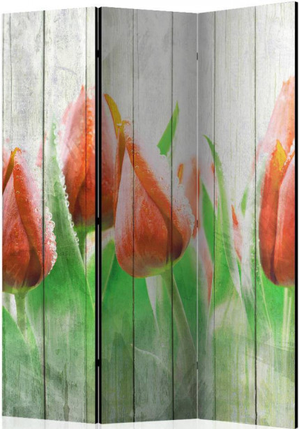 Sermi Artgeist Red tulips on wood, 135x172cm