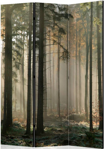 Sermi Artgeist Foggy November morning, 135x172cm