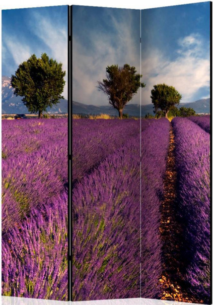 Sermi Artgeist Lavender field in Provence, France, 135x172cm