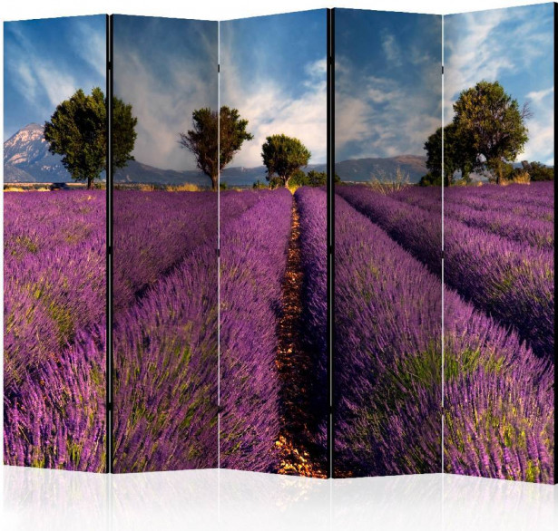 Sermi Artgeist Lavender field in Provence, France II, 225x172cm