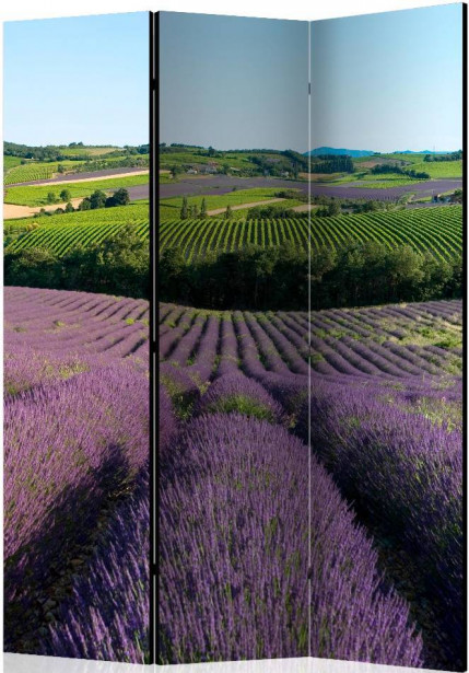 Sermi Artgeist Lavender fields, 135x172cm