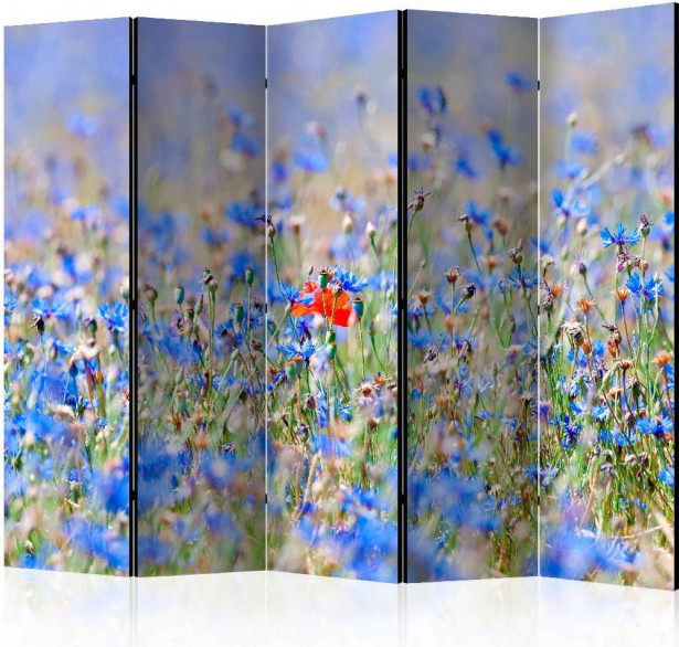 Sermi Artgeist A sky-colored meadow - cornflowers II, 225x172cm