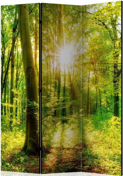 Sermi Artgeist Forest Rays, 135x172cm