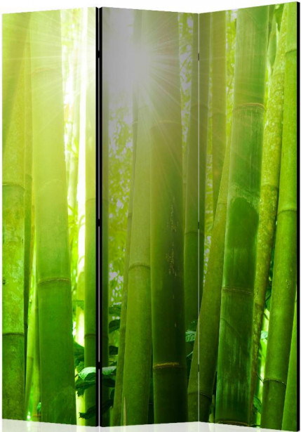 Sermi Artgeist Sun and bamboo II, 135x172cm