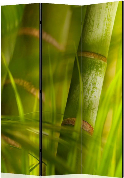 Sermi Artgeist bamboo - nature zen, 135x172cm