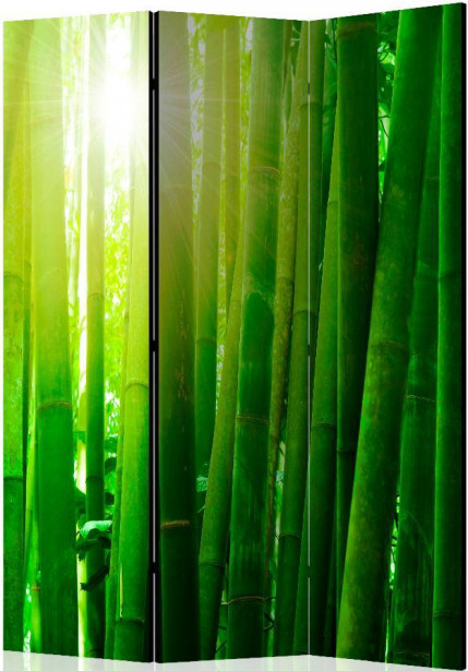 Sermi Artgeist Sun and bamboo, 135x172cm