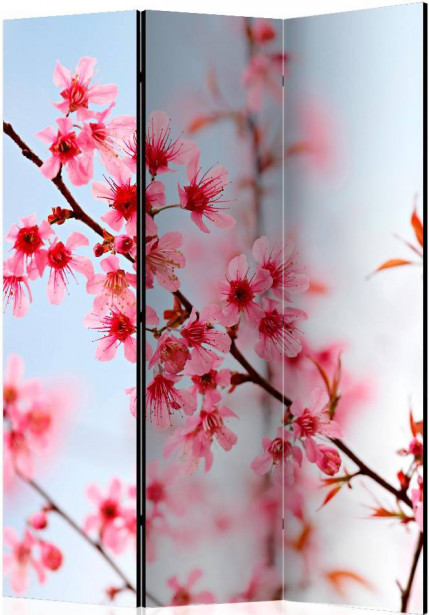 Sermi Artgeist Symbol of Japan - sakura flowers, 135x172cm