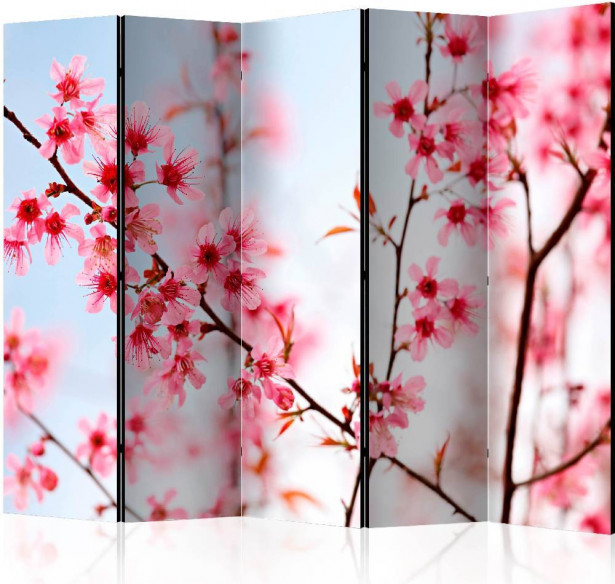 Sermi Artgeist Symbol of Japan - sakura flowers II, 225x172cm