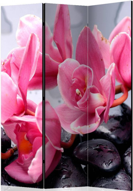 Sermi Artgeist Orchid flowers with zen stones, 135x172cm
