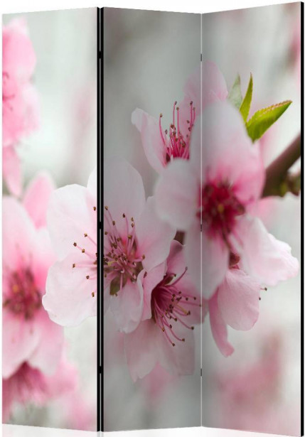 Sermi Artgeist Spring, blooming tree - pink flowers, 135x172cm
