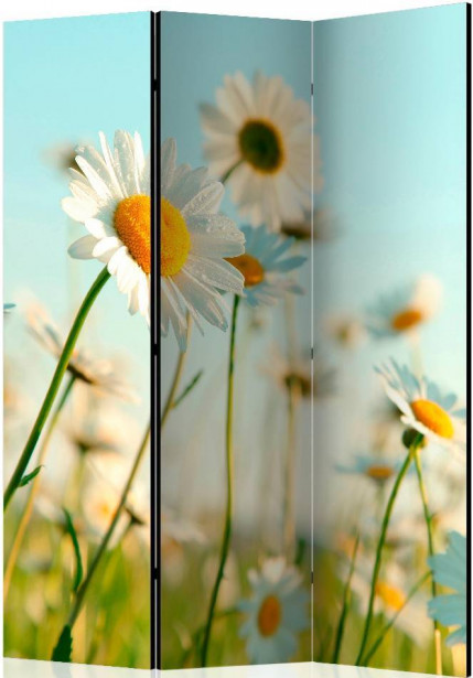 Sermi Artgeist Daisies - spring meadow, 135x172cm