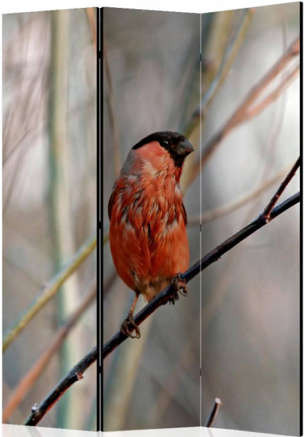 Sermi Artgeist Bullfinch in the forest, 135x172cm