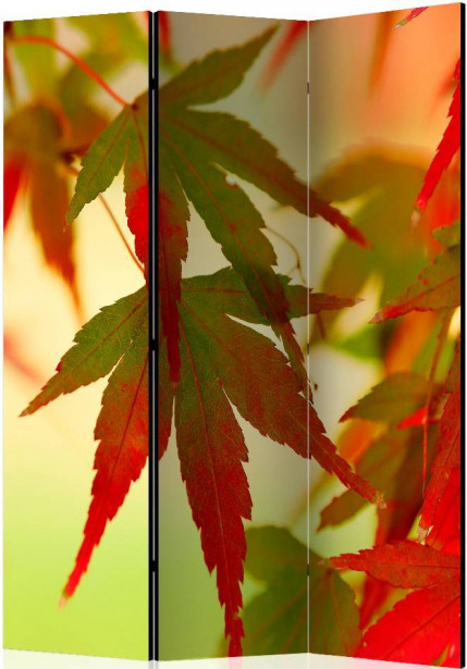 Sermi Artgeist Colourful leaves, 135x172cm