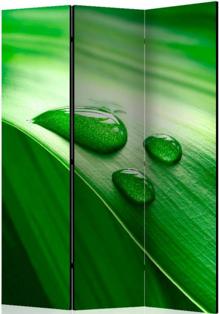 Sermi Artgeist Leaf and three drops of water, 135x172cm