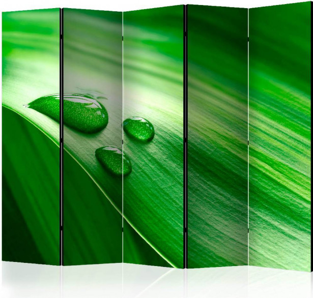 Sermi Artgeist Leaf and three drops of water II, 225x172cm