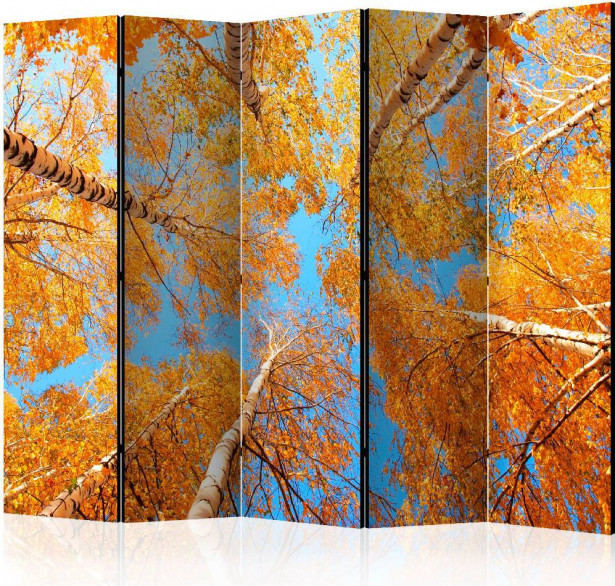 Sermi Artgeist Autumnal treetops II, 225x172cm