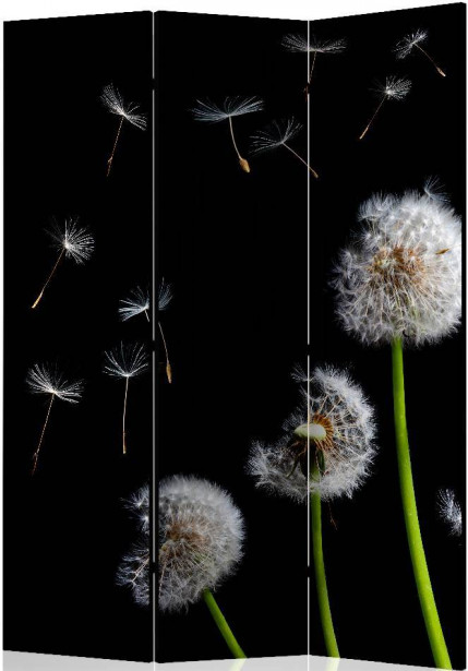 Sermi Artgeist Dandelions in the wind, 135x172cm