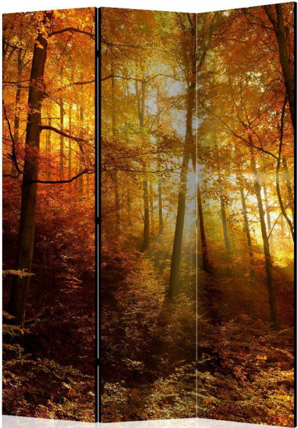 Sermi Artgeist Autumn Illumination, 135x172cm