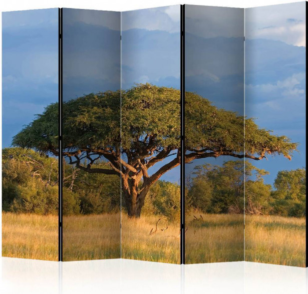 Sermi Artgeist African acacia tree, Hwange National Park, Zimbabwe II, 225x172cm