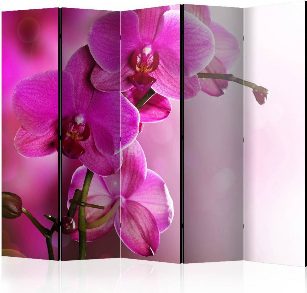 Sermi Artgeist Pink orchid, 225x172cm