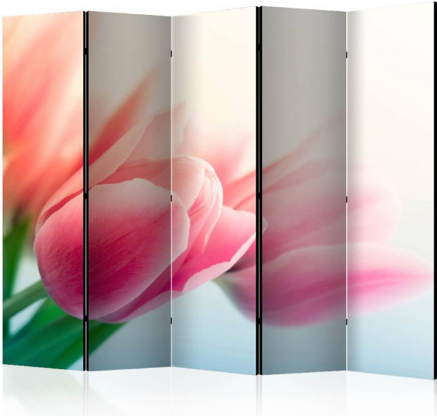 Sermi Artgeist Spring and tulips II, 225x172cm