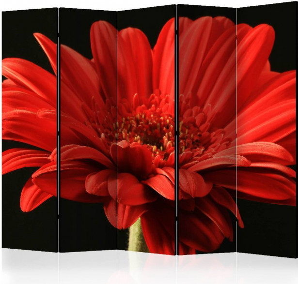 Sermi Artgeist Red gerbera flower II, 225x172cm