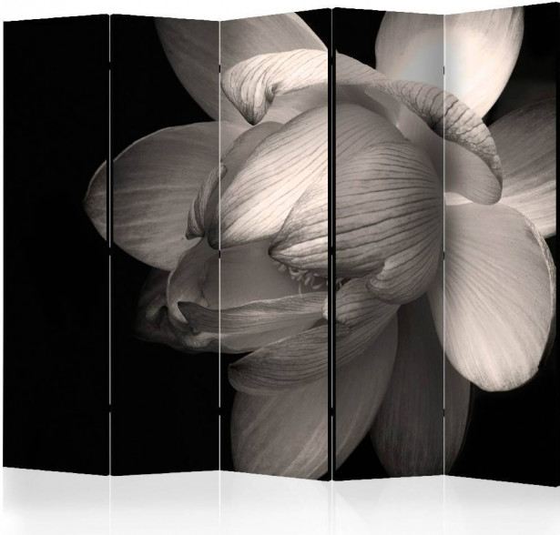 Sermi Artgeist Lotus flower II, 225x172cm