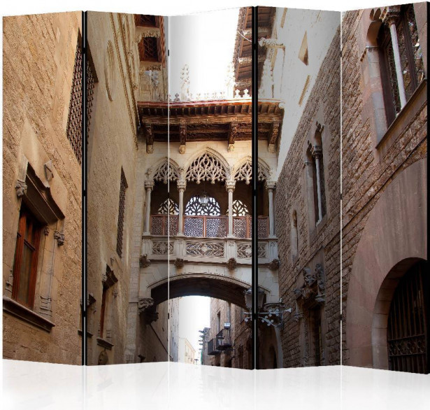 Sermi Artgeist Barcelona Palau generalitat in gothic Barrio II, 225x172cm