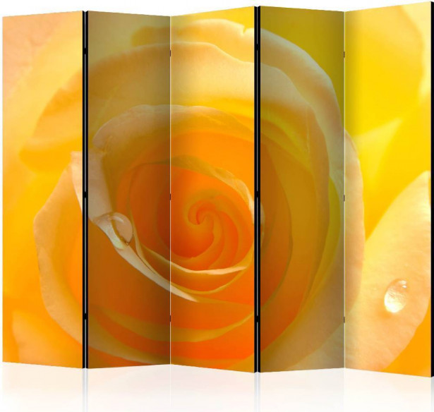 Sermi Artgeist Yellow rose II, 225x172cm