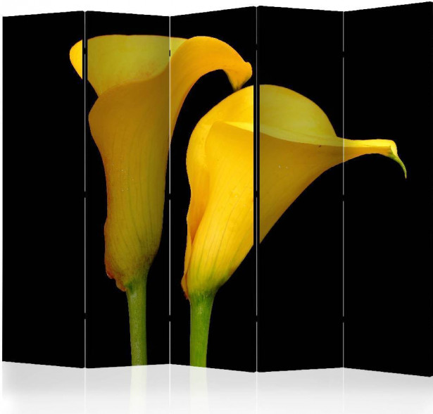 Sermi Artgeist Two yellow calla flowers on a black background II, 225x172cm