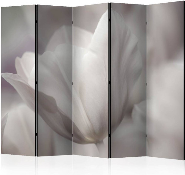 Sermi Artgeist Tulip - black and white photo II, 225x172cm