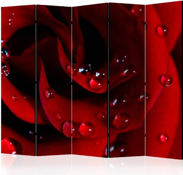 Sermi Artgeist Red rose with water drops II, 225x172cm