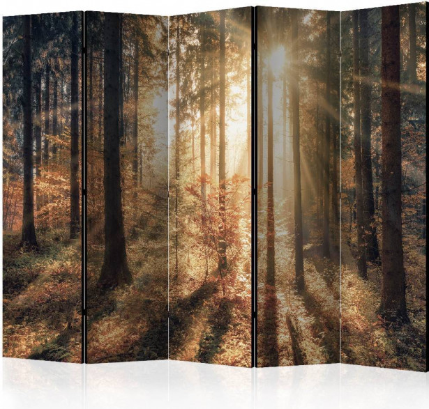 Sermi Artgeist Autumnal Forest, 225x172cm