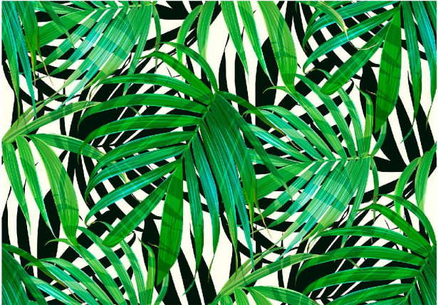 Kuvatapetti Artgeist Tropical Leaves, eri kokoja