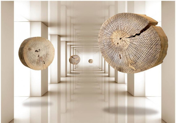 Kuvatapetti Artgeist Flying Discs of Wood, eri kokoja