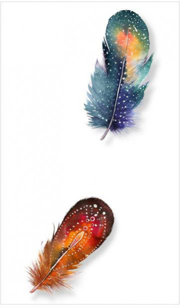 Tapetti Artgeist Colorful Feathers, 50x1000cm