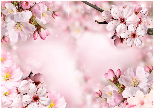 Sisustustarra Artgeist Spring Cherry Blossom, eri kokoja