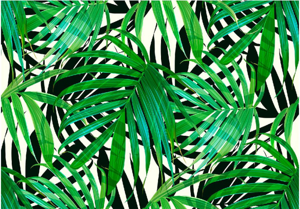 Sisustustarra Artgeist Tropical Leaves, eri kokoja