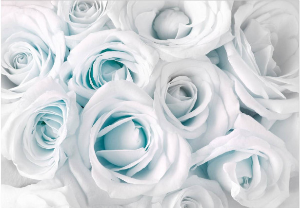Sisustustarra Artgeist Satin Rose III, eri kokoja