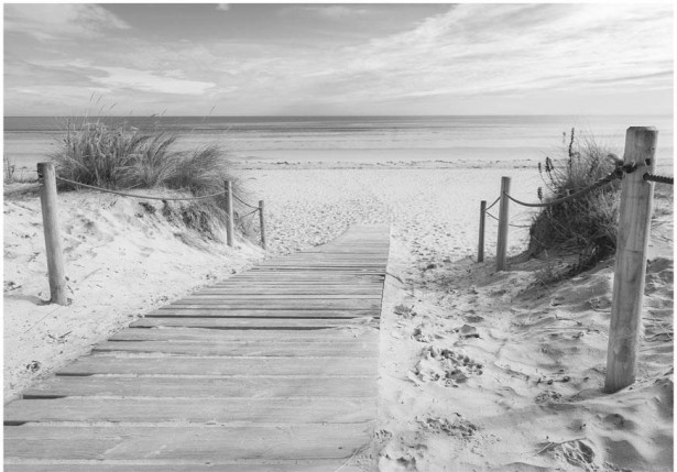 Sisustustarra Artgeist On the beach - black and white, eri kokoja