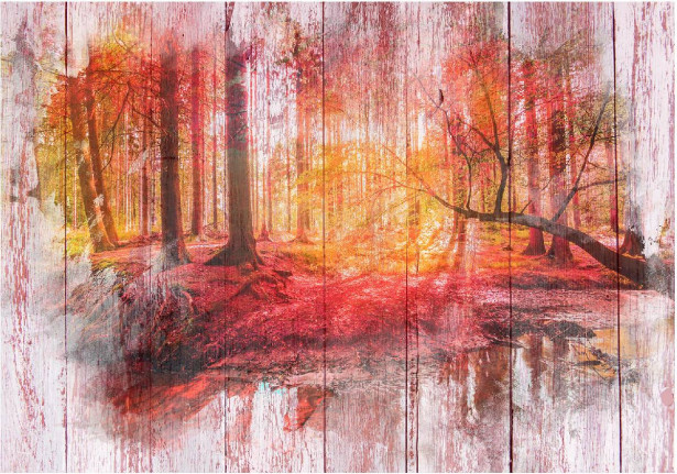 Sisustustarra Artgeist Autumnal Forest II, eri kokoja