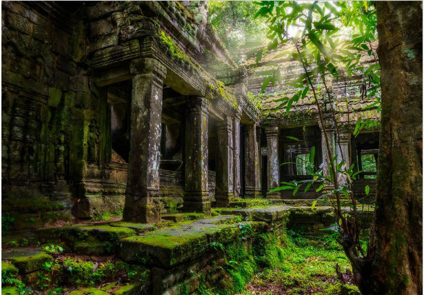 Sisustustarra Artgeist Preah Khan, eri kokoja