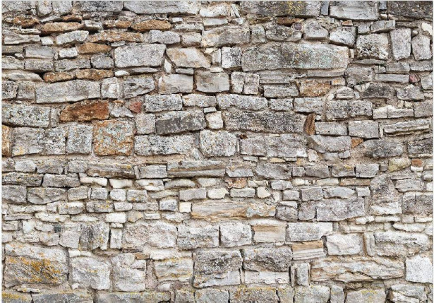 Sisustustarra Artgeist Royal Wall, eri kokoja