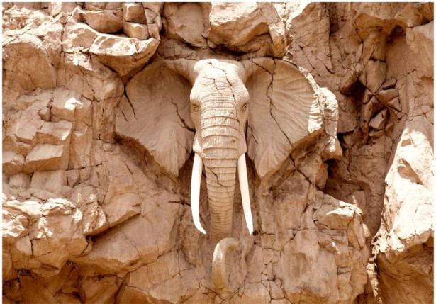 Sisustustarra Artgeist Stone Elephant, eri kokoja