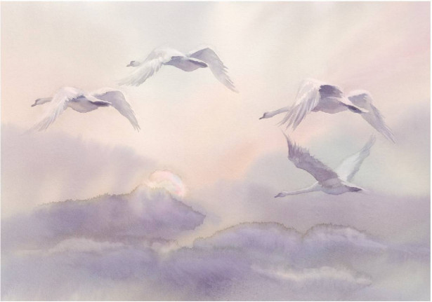Sisustustarra Artgeist Flying Swans, eri kokoja