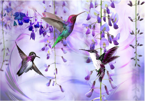 Sisustustarra Artgeist Flying Hummingbirds III, eri kokoja
