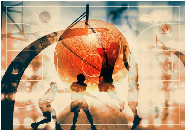 Sisustustarra Artgeist I love basketball!, eri kokoja