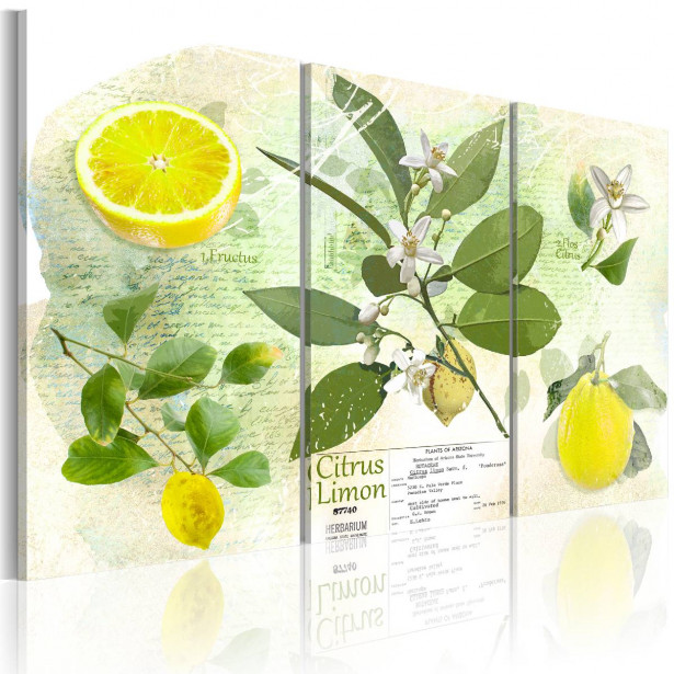 Taulu Artgeist Fruit: lemon eri kokoja