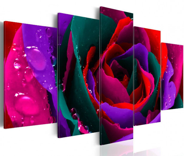 Taulu Artgeist Multicoloured rose eri kokoja